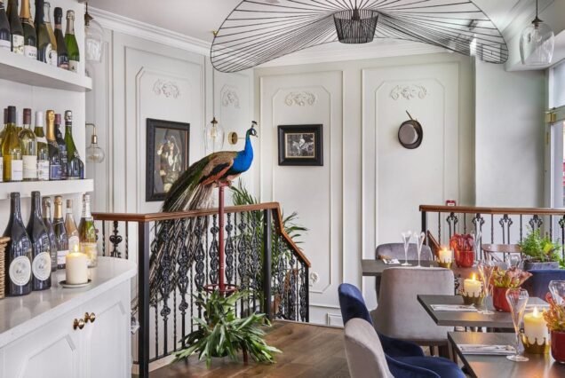 Townhouse wine bar staircase with peacock decor