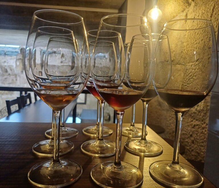 Wine flight glasses lined up for a tasting